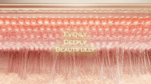 A digital illustration of layered, semi-transparent skin cells with fine hair-like strands underneath. Text in the center reads: "EVENLY DEEPLY BEAUTIFULLY" in light yellow letters.